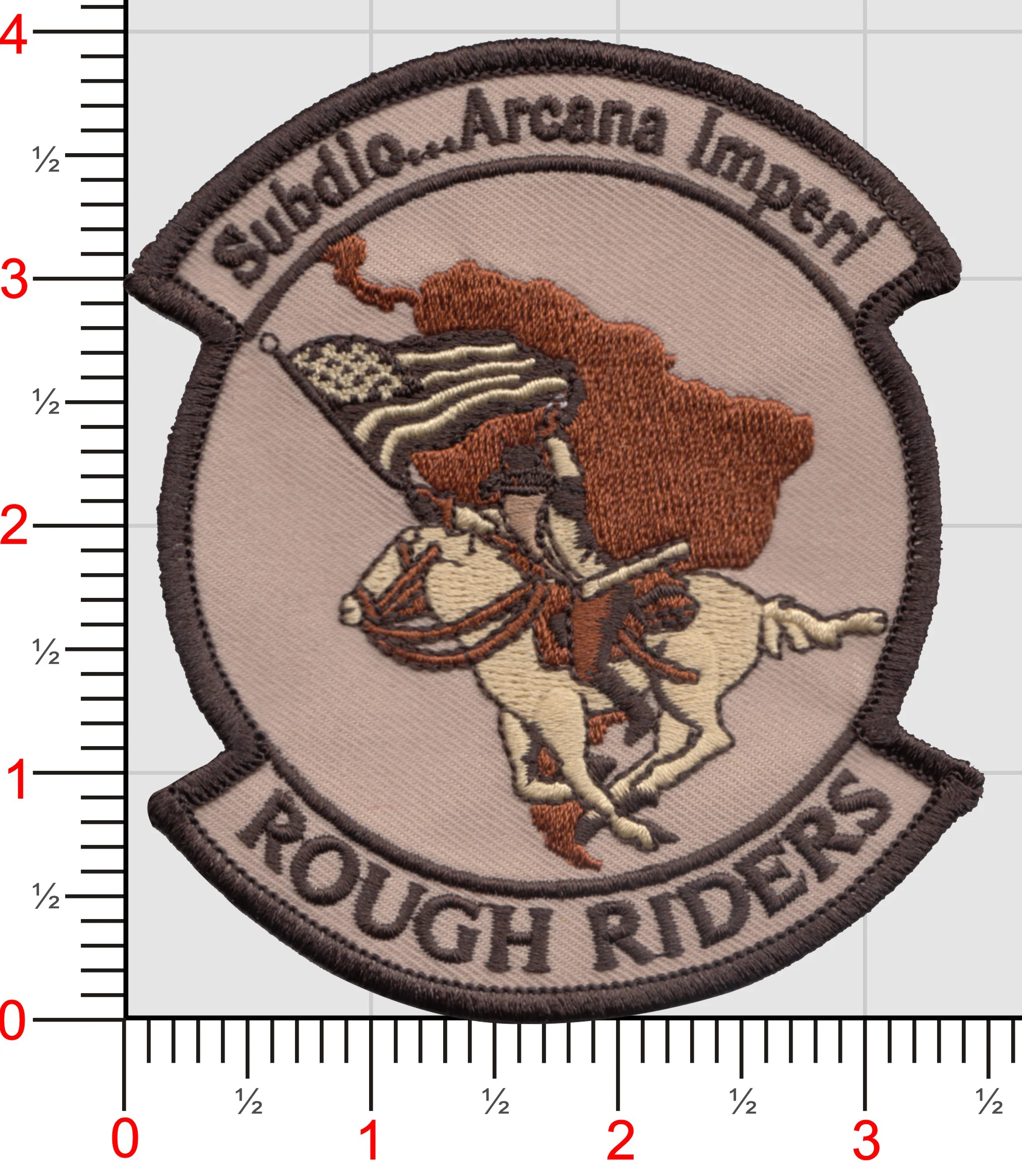 USAF Rough Riders Patch