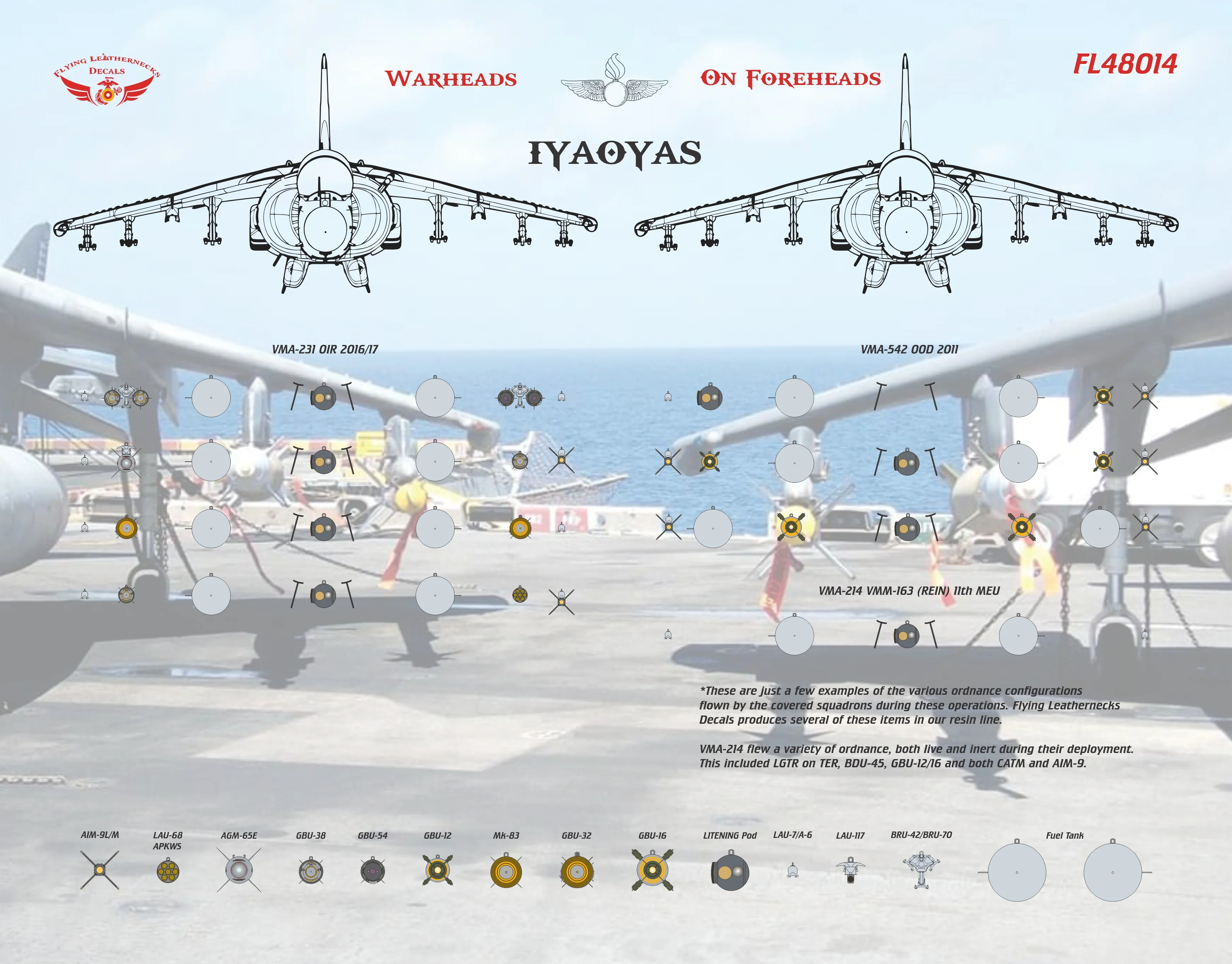 1/48 Scale AV-8B II Plus Hell Raising Harriers II