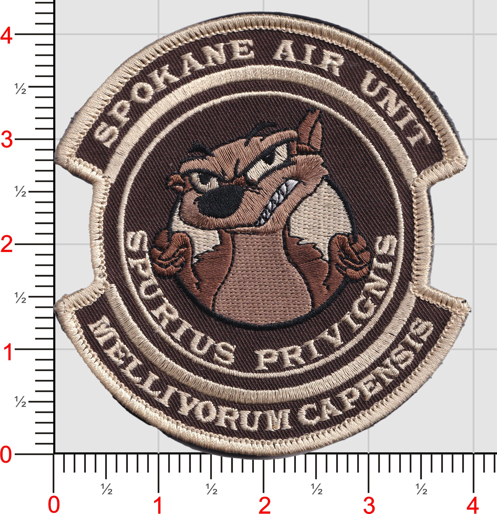 USCBP Spokane Air Unit Badgers Patch