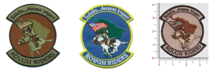 USAF Rough Riders Patch