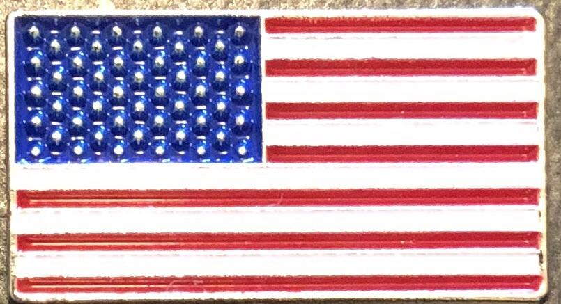American Flag Pin