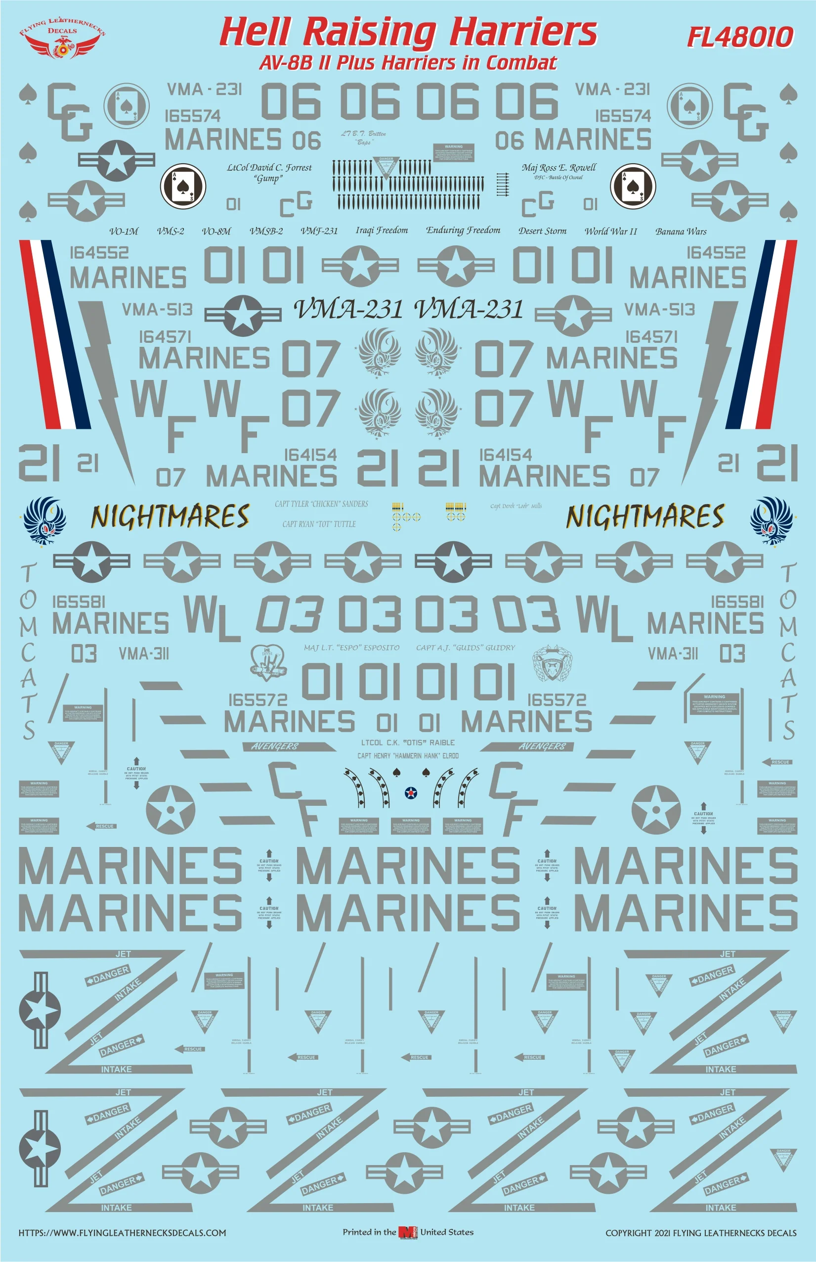 AV-8B NA / II Plus Hell Raising Harriers