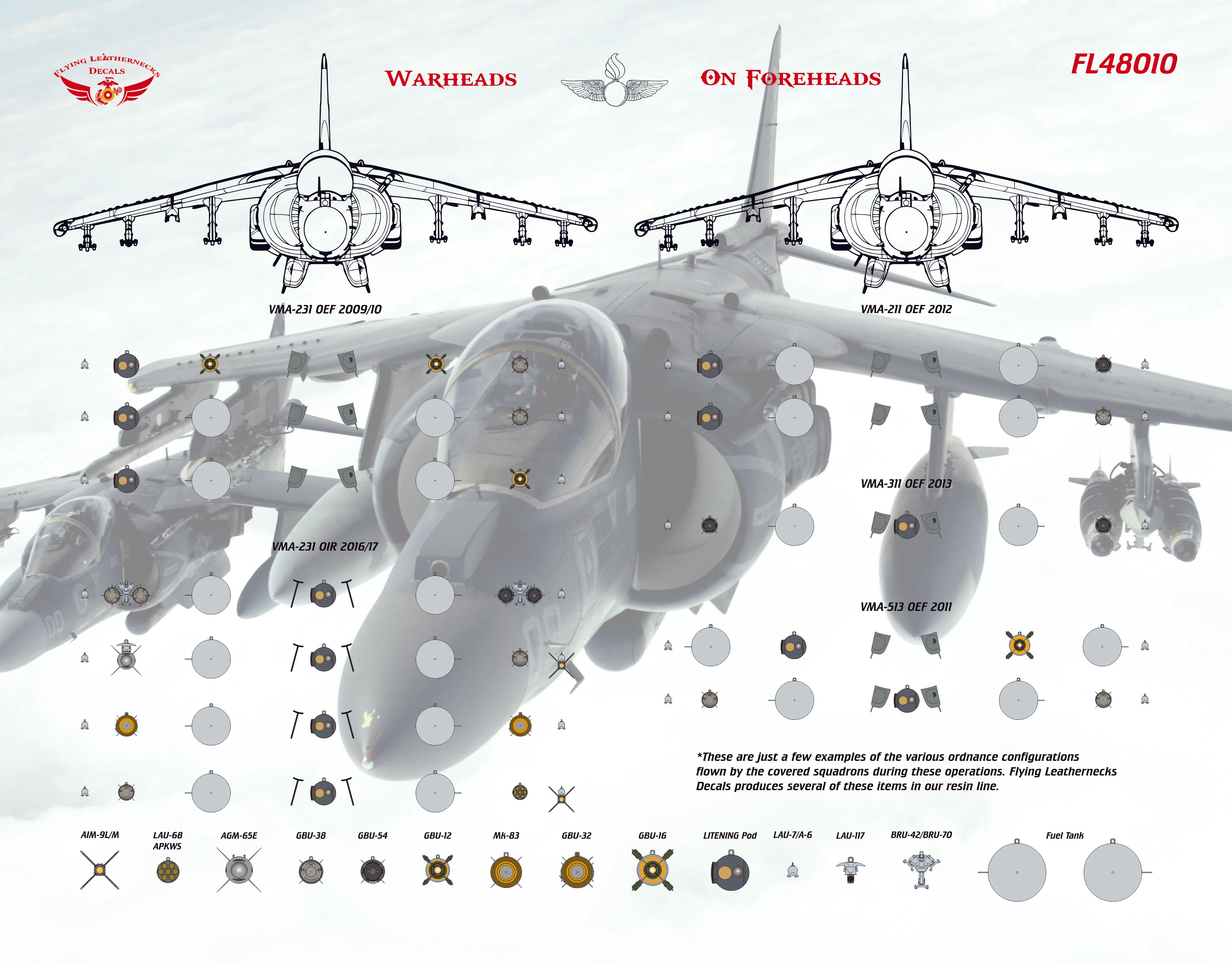 AV-8B NA / II Plus Hell Raising Harriers