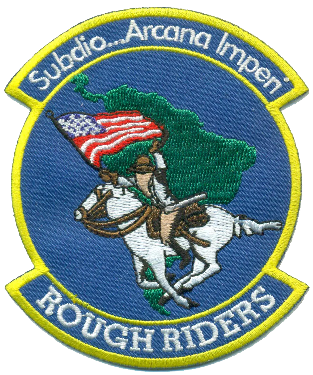 USAF Rough Riders Patch