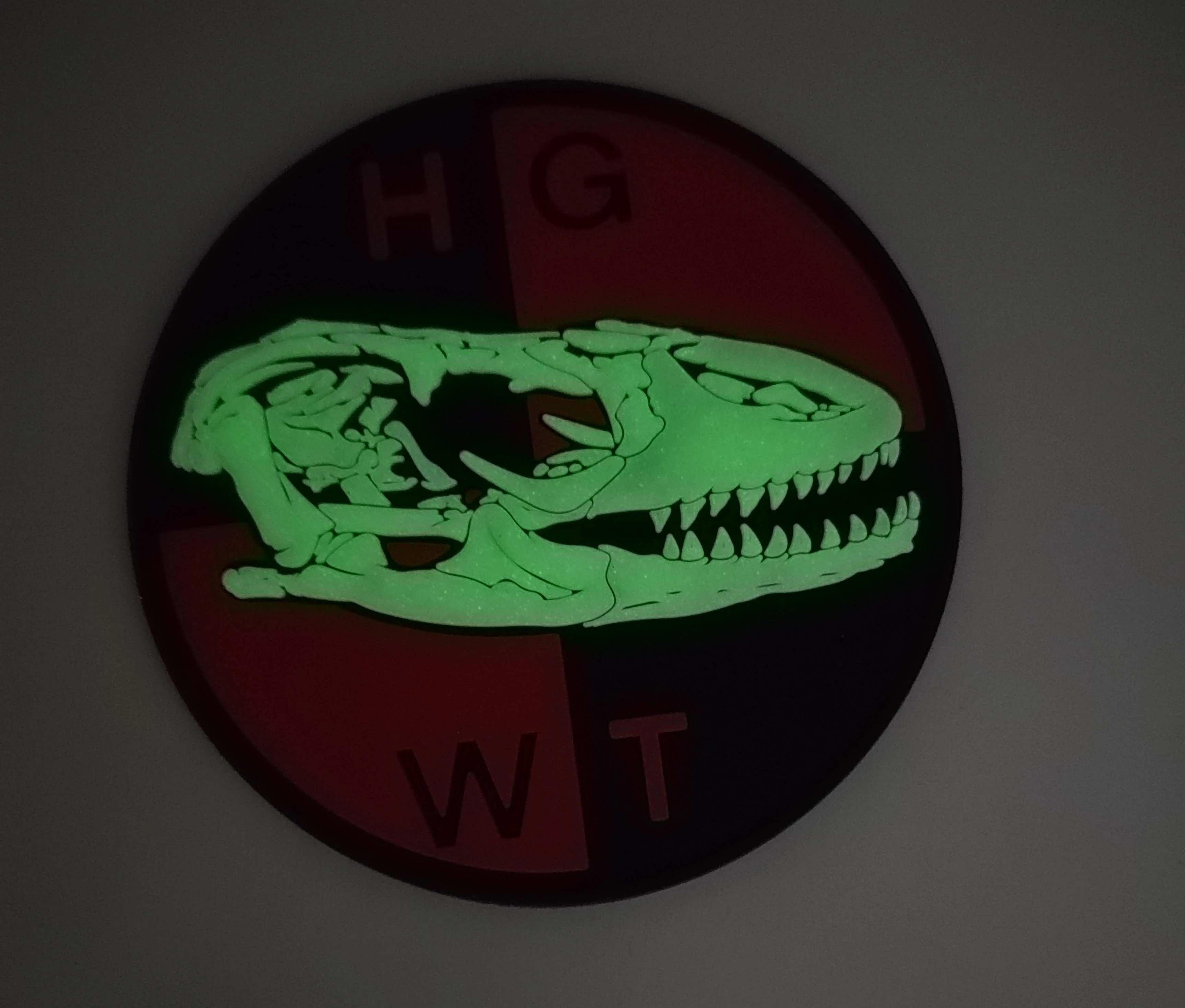 Official HMLA-167 HGWT Dragon Skull PVC Patch
