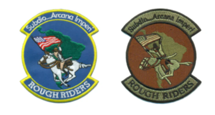 USAF Rough Riders Patch