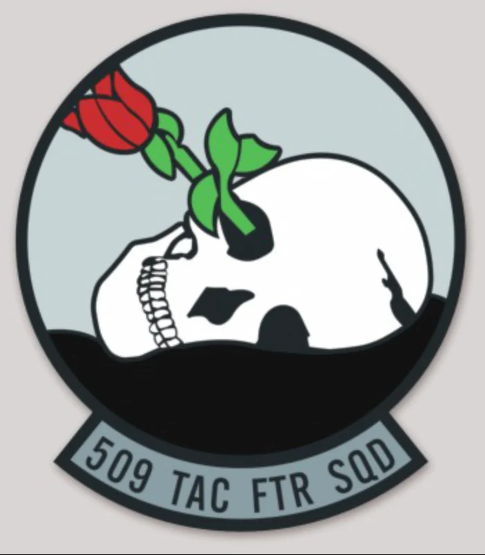 USAF 509th TFS Tactical Fighter Squadron A-10 sticker