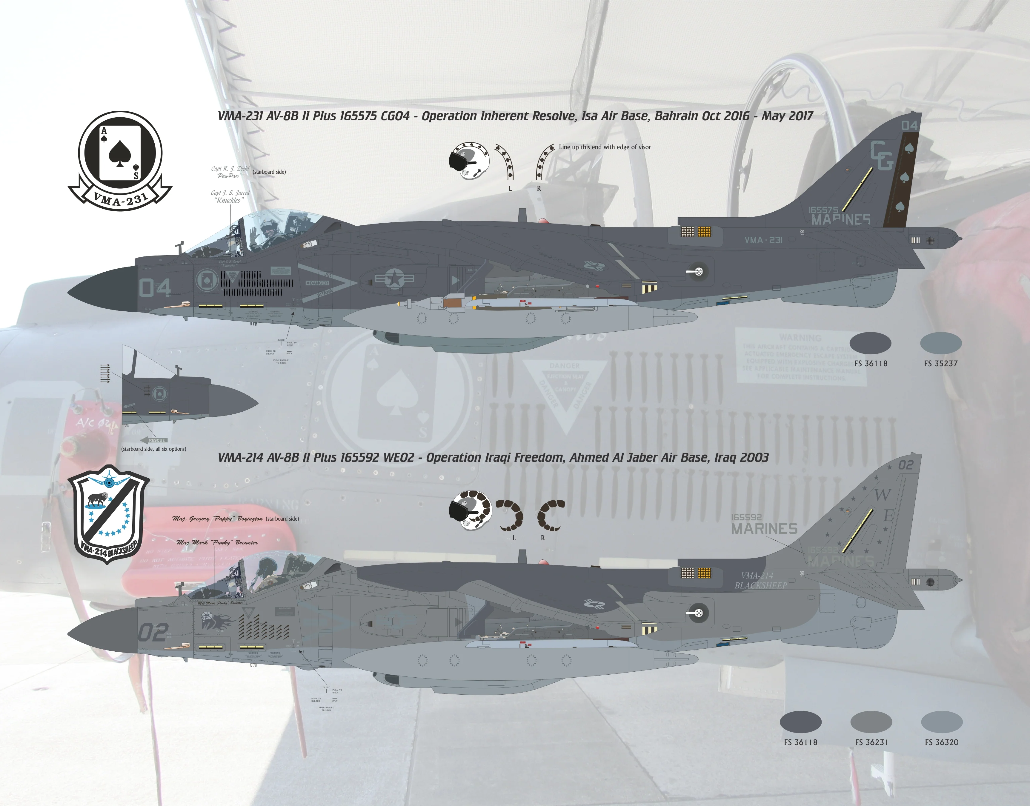 1/32 Scale AV-8B II Plus 'Hell Raising Harriers