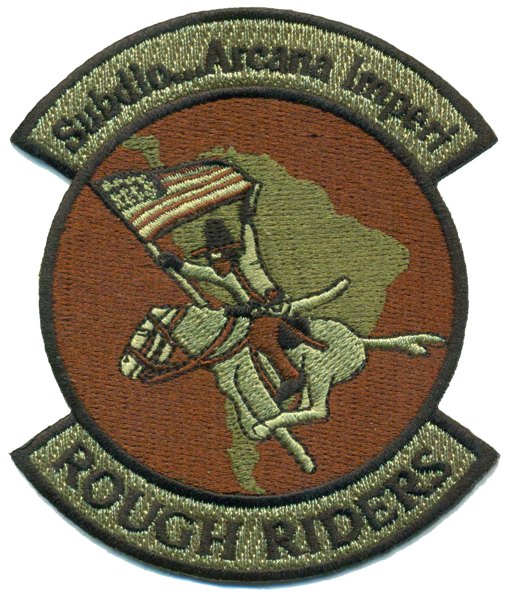 USAF Rough Riders Patch