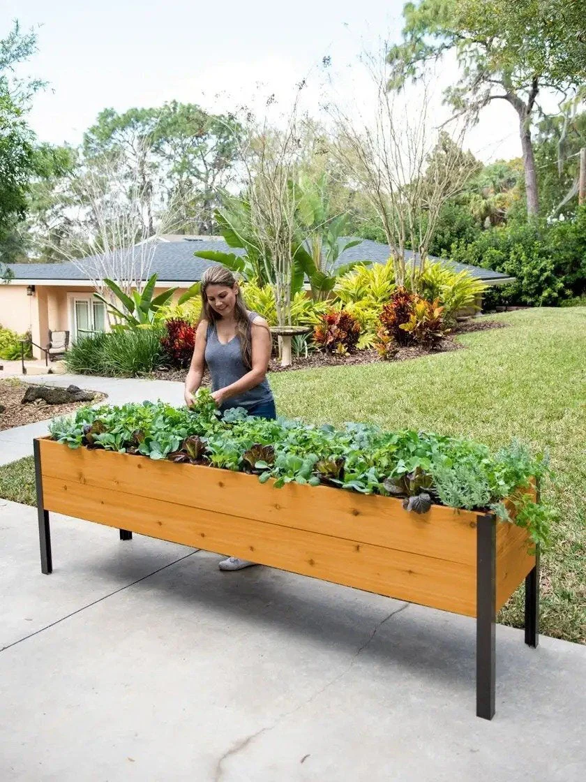2025 Watering Eco-Stained Elevated Planter Box