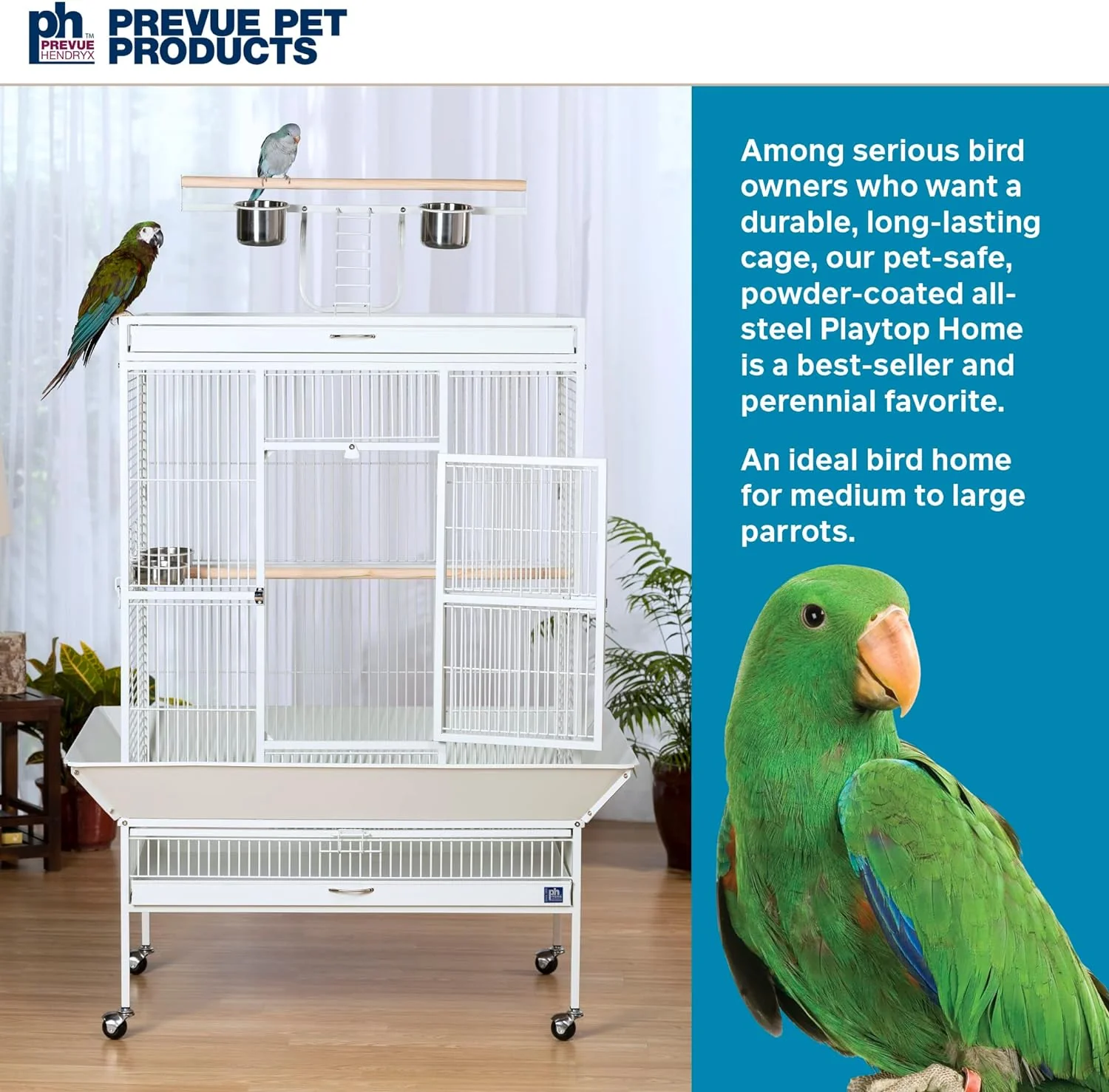 2025 Pet Products Wrought Iron Select Bird Cage 3154C, Chalk White, 36-Inch by 24-Inch by 66-Inch