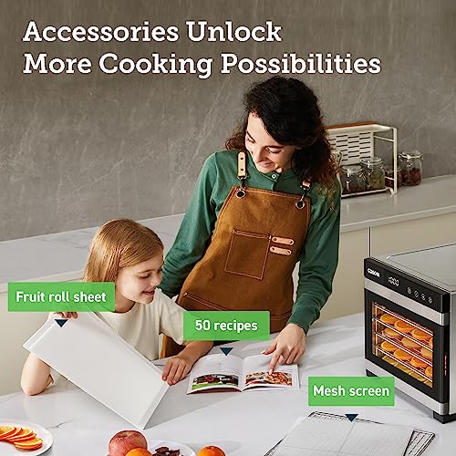 2025 Meat jerky food dehydrator, 600 watt dehydration dryer