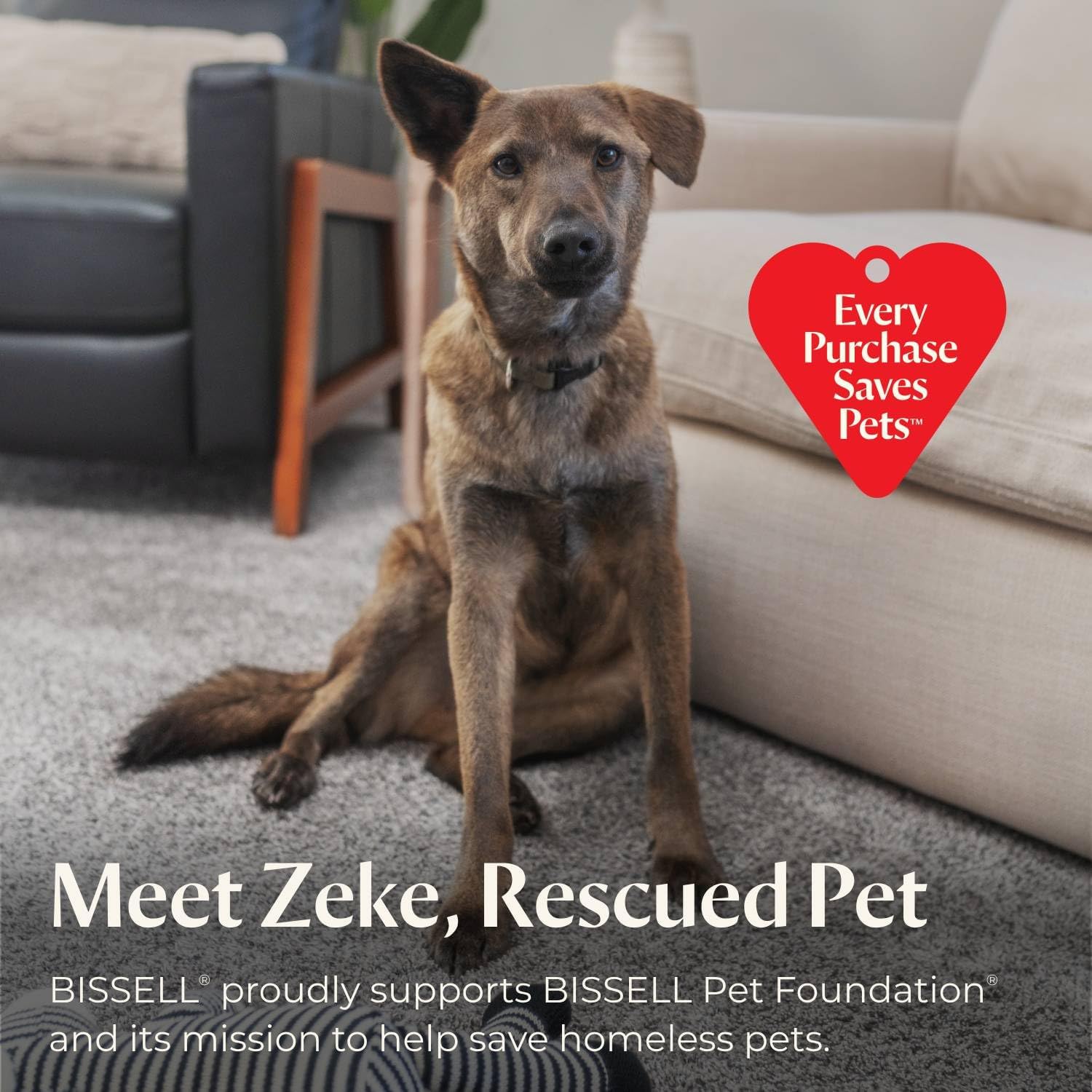 Proheat 2X Revolution Pet Pro Plus Upright Cleaner