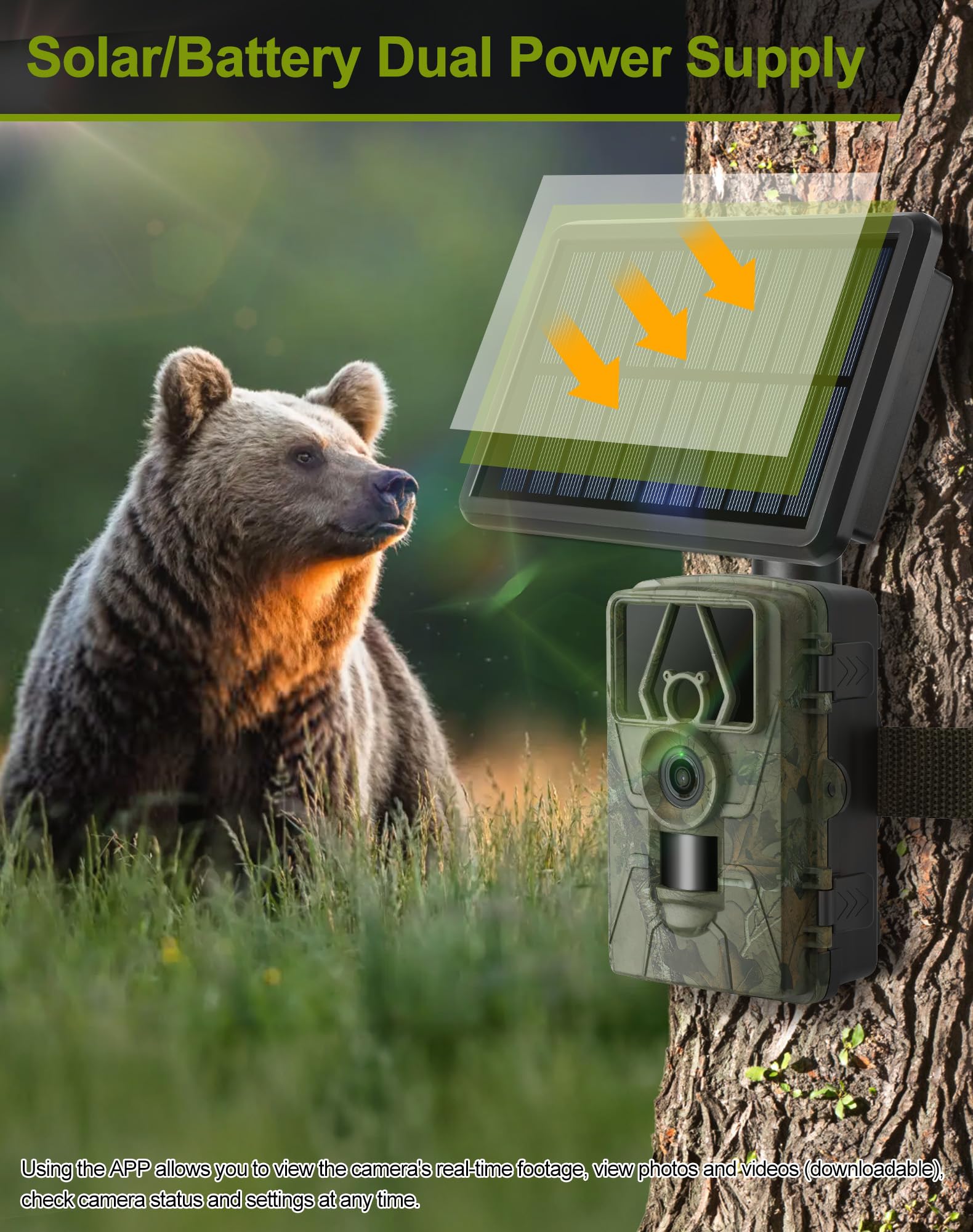 Smart Bird Feeder with Camera, 5200mAh Battery with Solar Panel