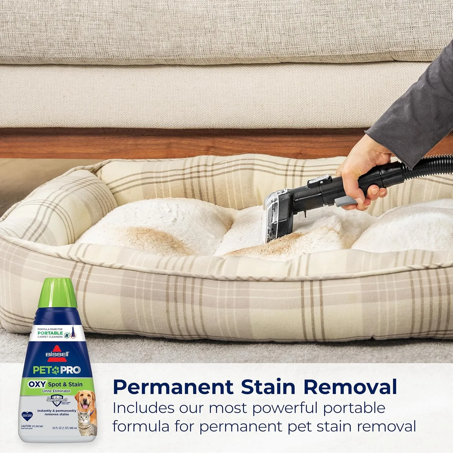 Green HydroSteam Multi-Purpose Portable Carpet and Upholstery Cleaner, Car and Auto Detailer, 3618, Black and Copper Harbor