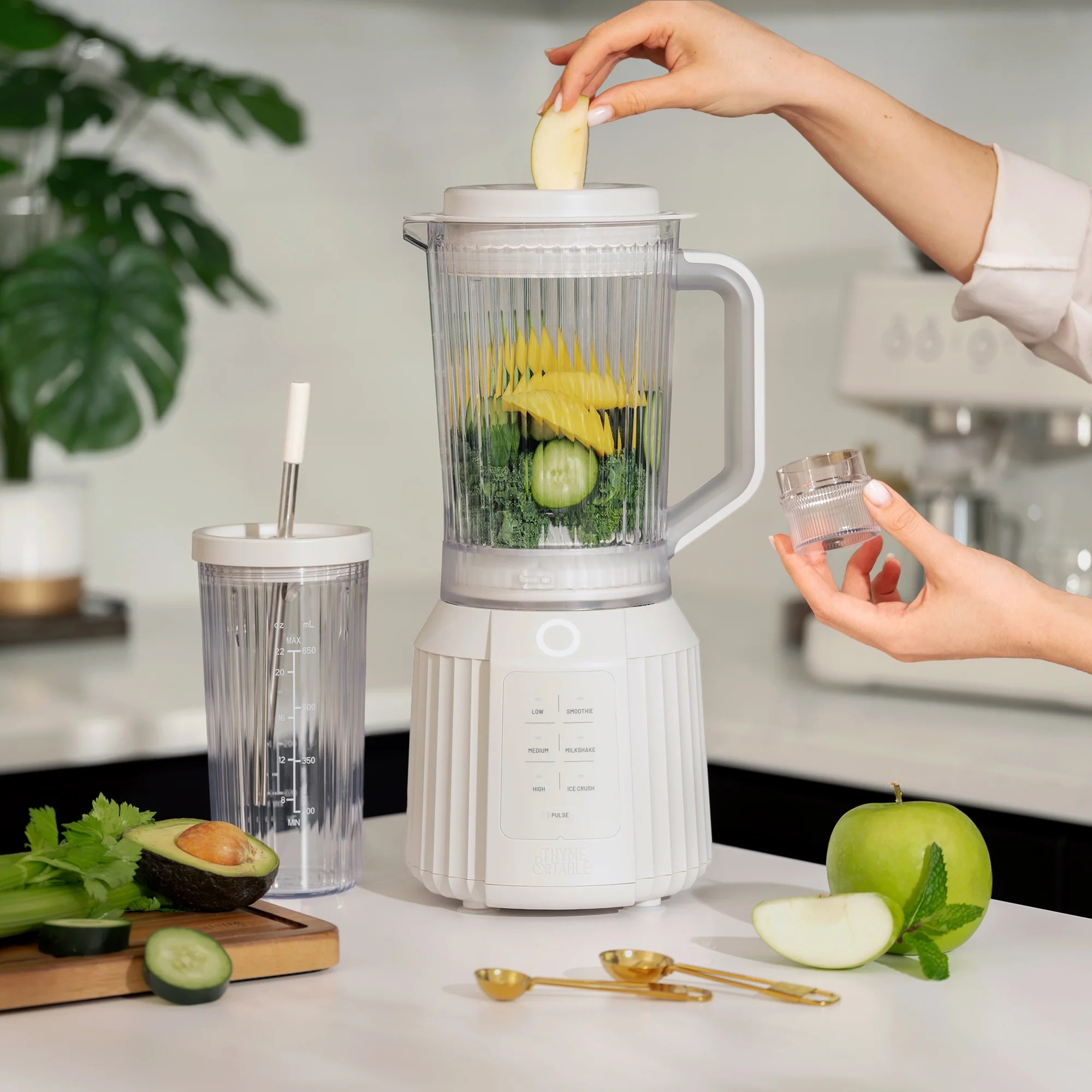 Thyme & Table Countertop Blender Duo, Sand White