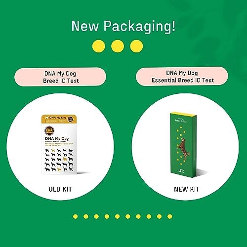 2025 Dna My Dog Essential Test – Breed ID Test Mixed Breed Identification Personality Traits for Puppies to Adult Dogs Non-Invasive Cheek Swab