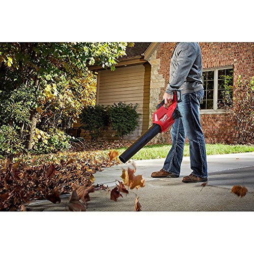 2025 Lithium-Ion Brushless Cordless Handheld Hair Dryer