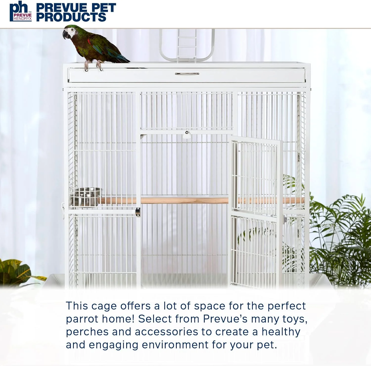 2025 Pet Products Wrought Iron Select Bird Cage 3154C, Chalk White, 36-Inch by 24-Inch by 66-Inch