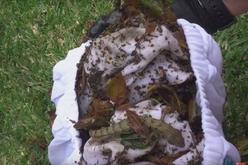 2025 AB Aquabot Classic In-Ground Robotic Swimming Pool Cleaner