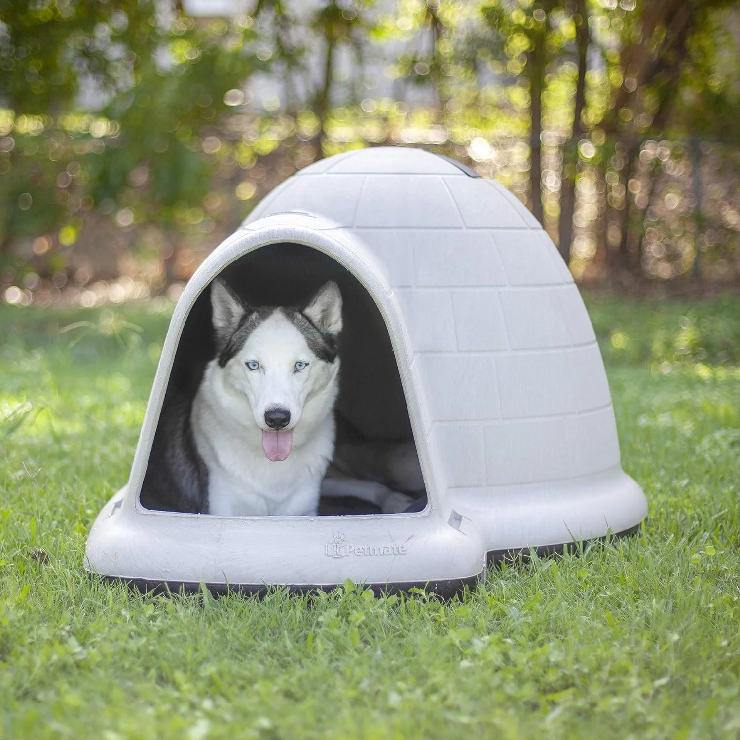 2025 Petmate Indigo Dog House (Igloo Dog House, Made in USA with 90% Recycled Materials, All-Weather Protection Pet Shelter) for XL Dogs -90 to 125 pounds, Made in USA