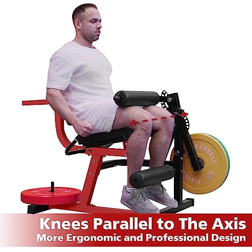 GMWD Leg Extension Machine and Curl, Lower Body Special Leg Machine, Adjustable Leg Exercise Bench