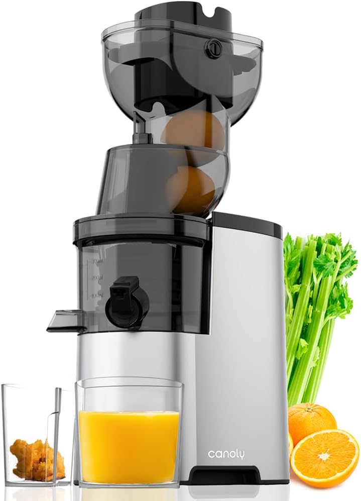 2025 Masticating Juicer, 300W Professional Slow Juicer with 3.5-inch Large Feed Chute