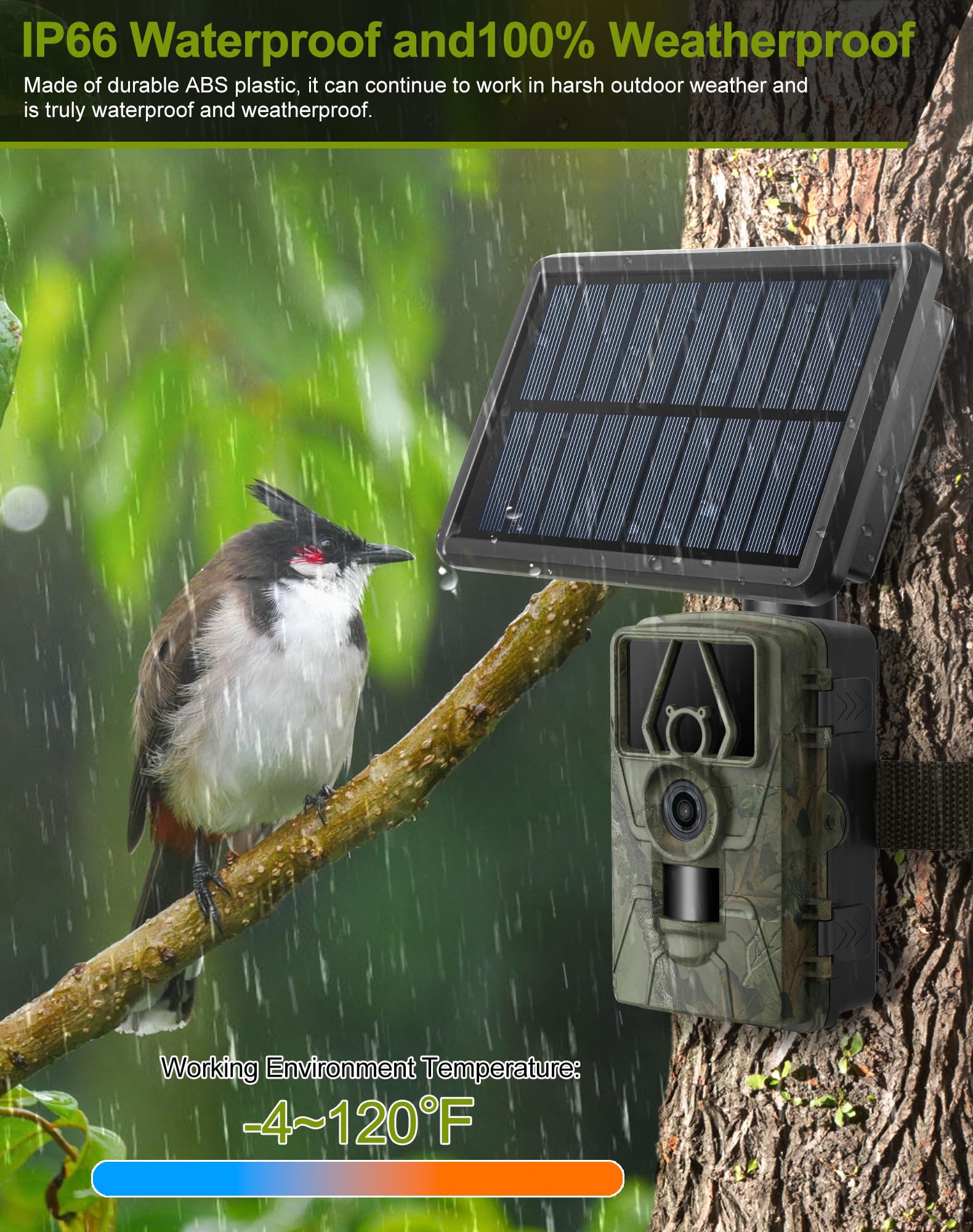 Smart Bird Feeder with Camera, 5200mAh Battery with Solar Panel