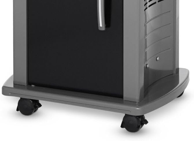 WEBER Spirit E-210 Gas Grill | 2-Burner Liquid Propane