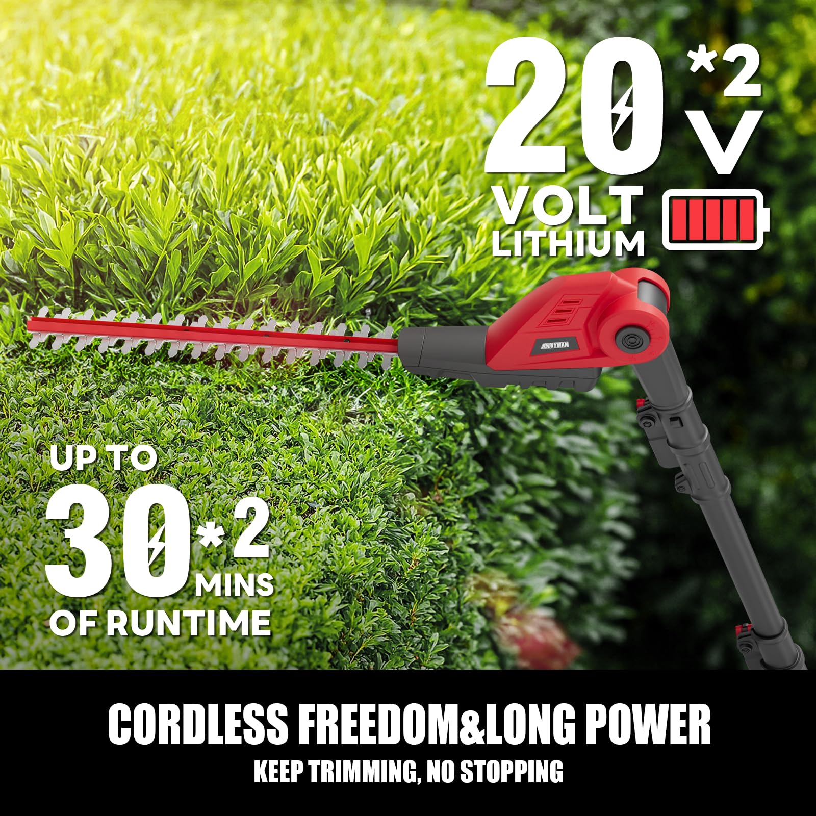 Alloyman 20V MAX Pole Hedge Trimmer with 2 Packs 2.0Ah Batteries & Charger
