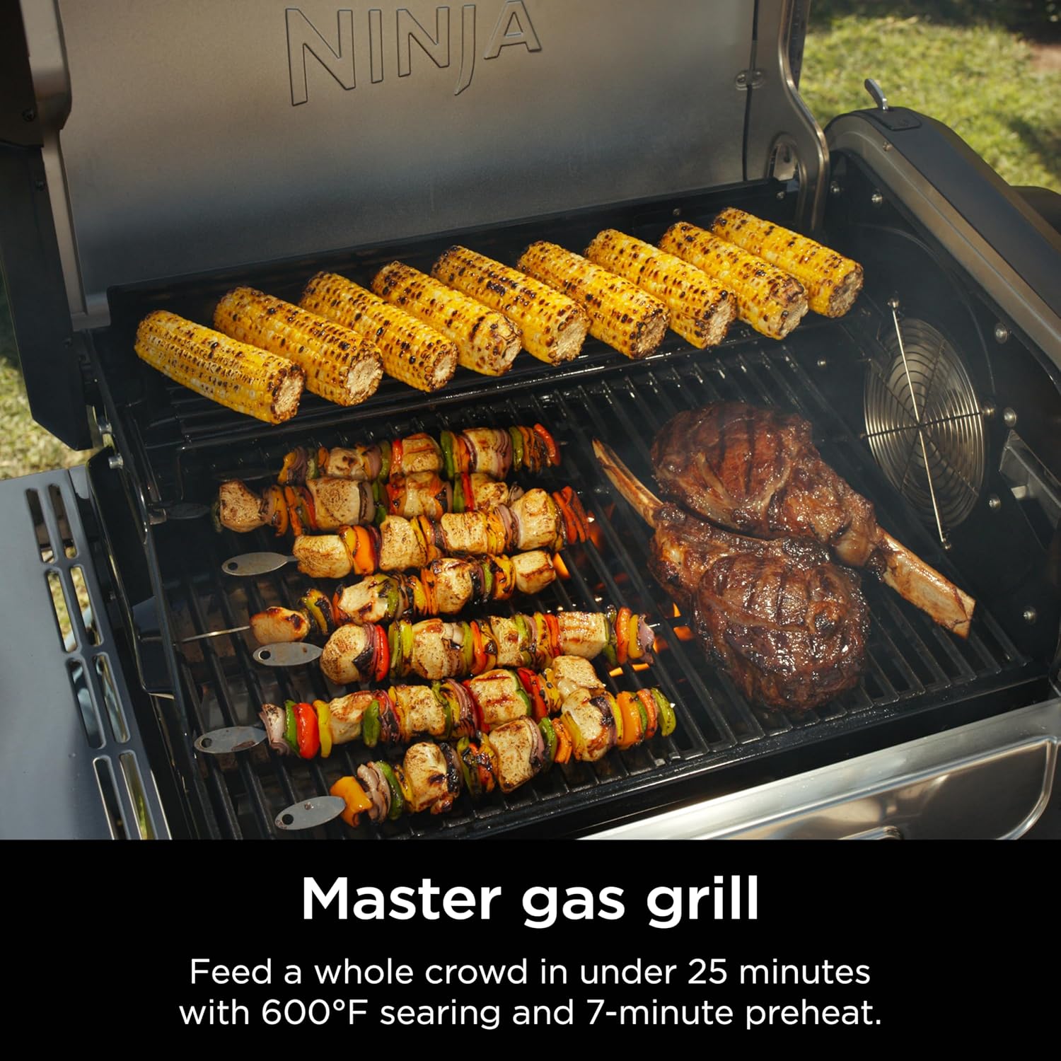 NINJA Flexflame 5-in-1 Electric & Propane Grill System