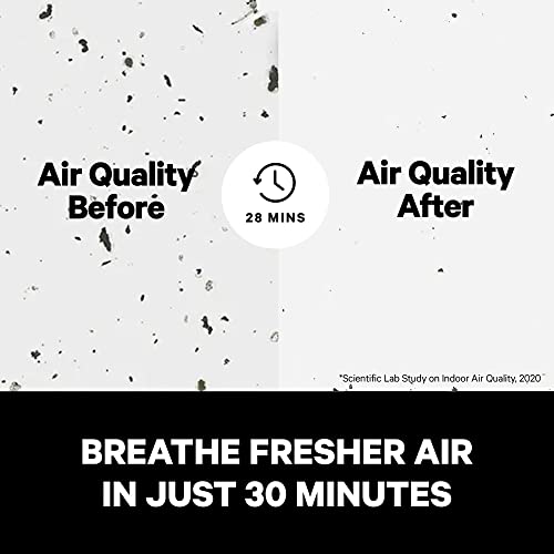 PuroAir HEPA 14 Air Purifier for Allergies Covers 1,115 Sq Ft