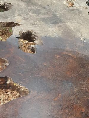 2025 Stihl FS 91 R GAS Trimmer