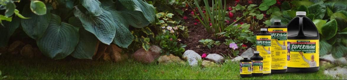 SUPERthrive VI30182 Plant Vitamin Solution, 5 Gallon