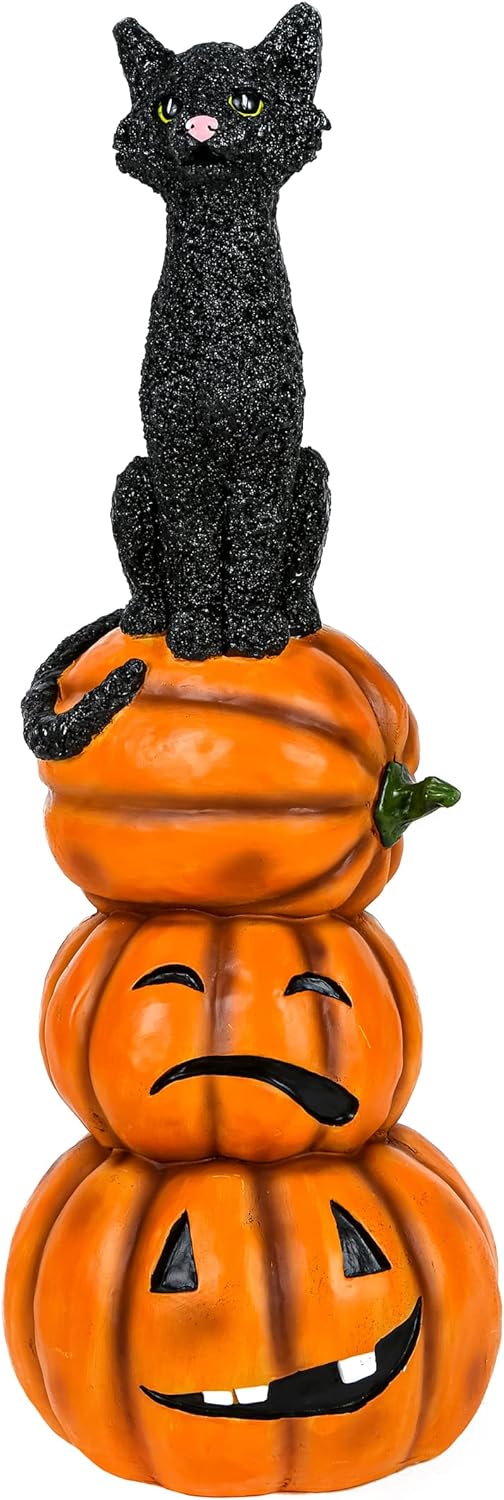 2025 Black cat and a bunch of pumpkins, Halloween collection