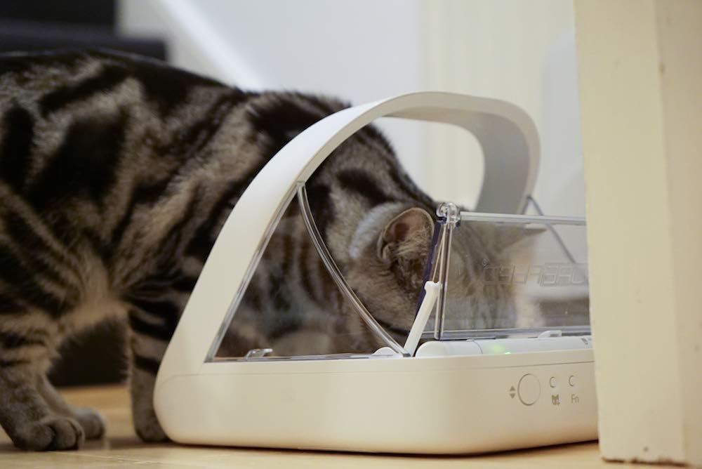 Pet Feeder Connection System - Selective Pet Feeder - Suitable for pets on prescription diets or weight management diets - Integrated Scale - Data can be sent to smartphone