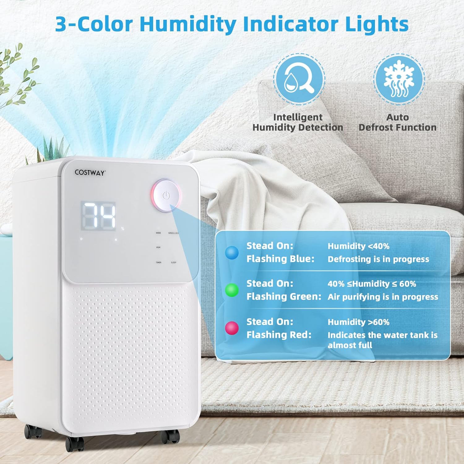 Dehumidifiers for large rooms and basements