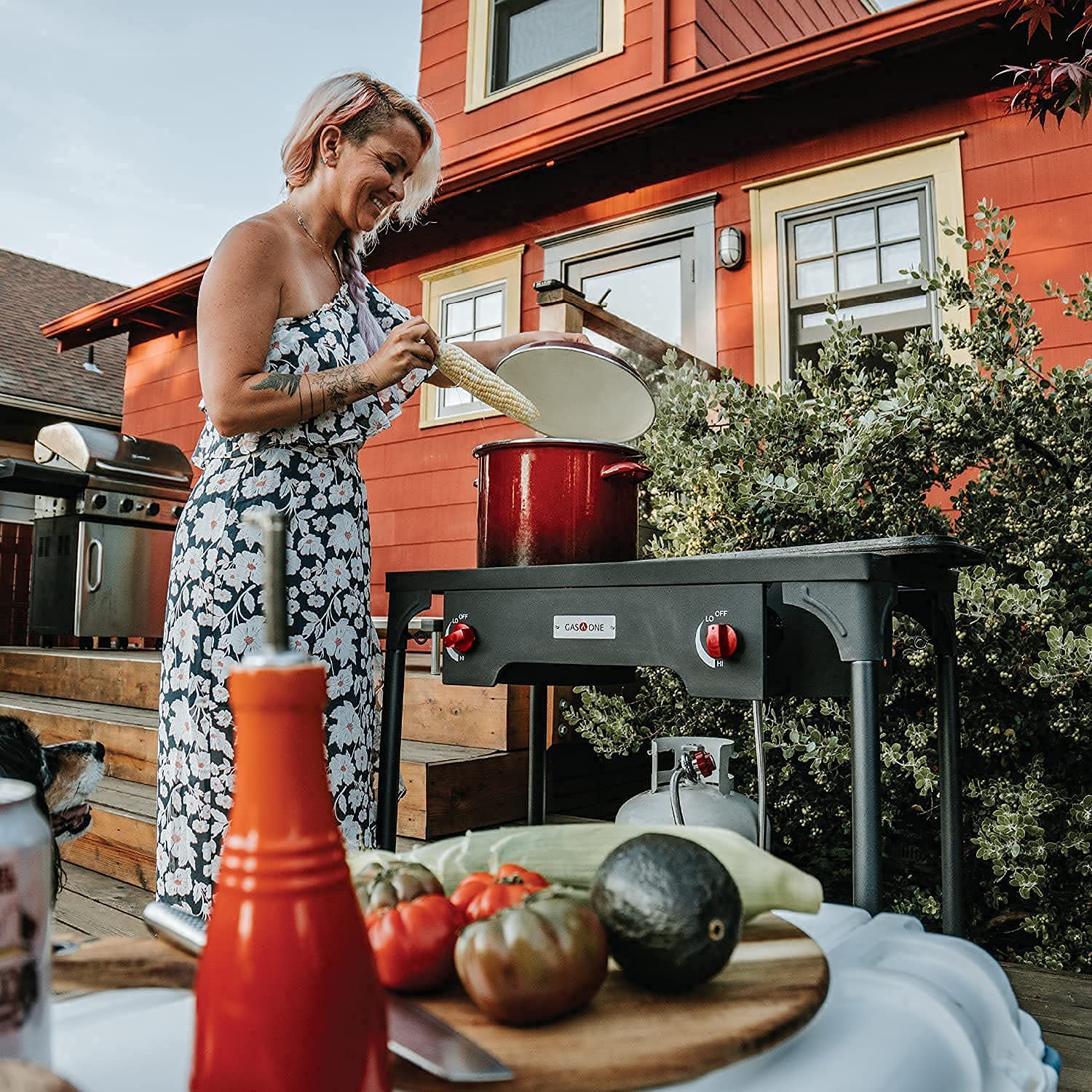 Gas One Propane Double Burner Two Burner Camp Stove