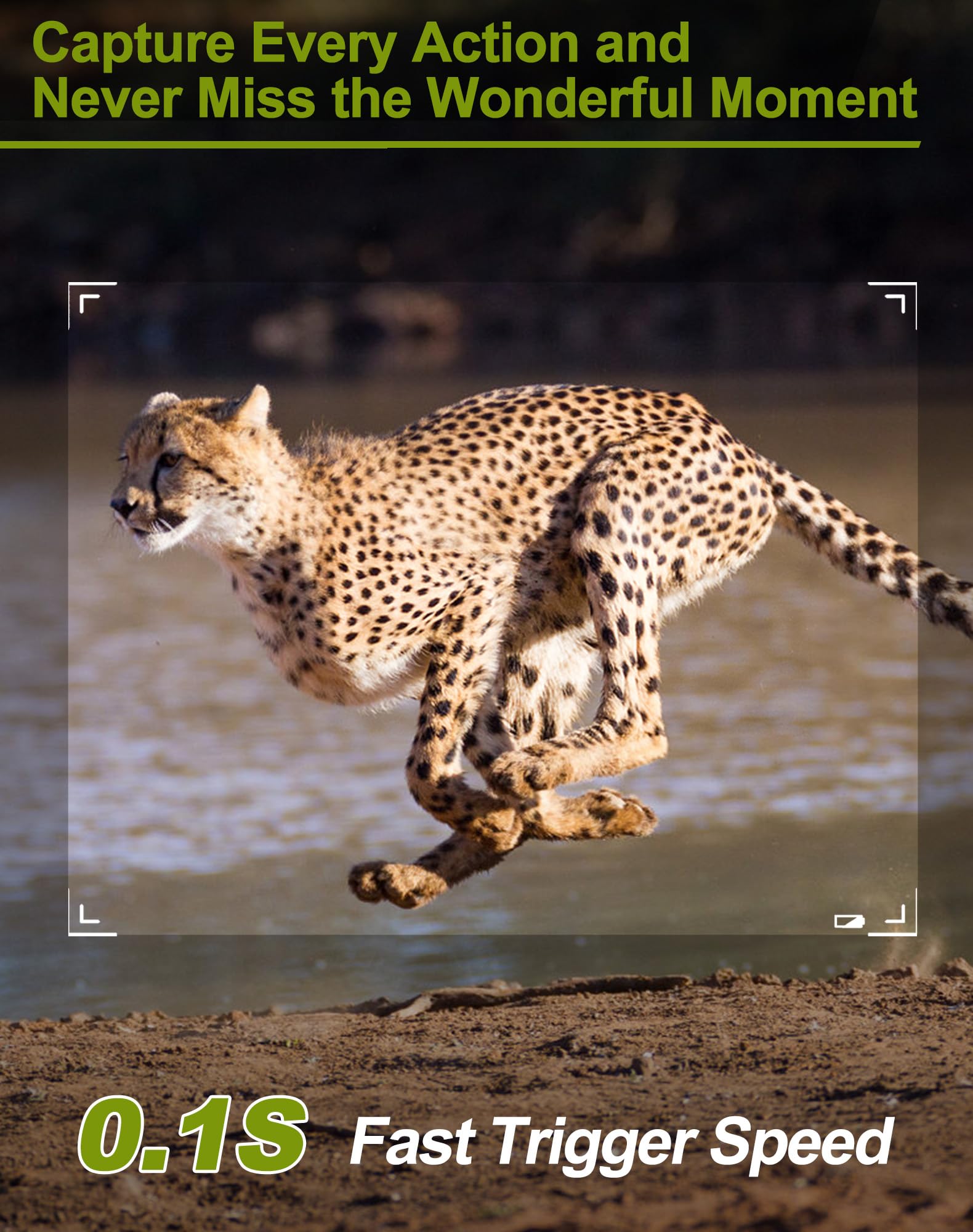 Smart Bird Feeder with Camera, 5200mAh Battery with Solar Panel