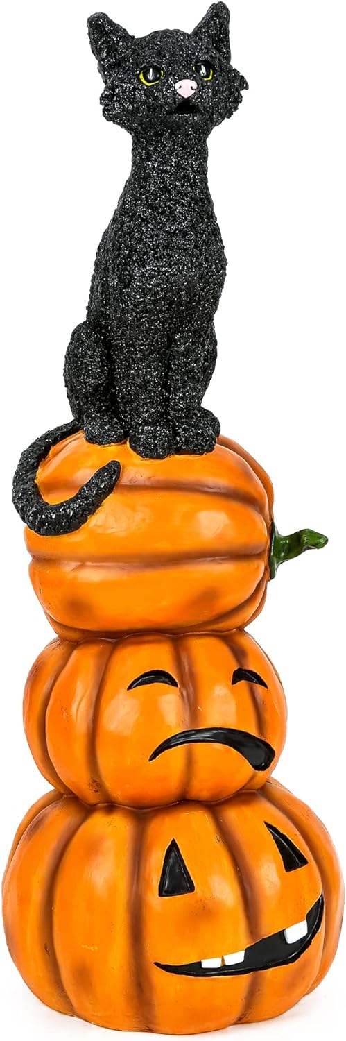 2025 Black cat and a bunch of pumpkins, Halloween collection