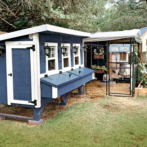 2025 OverEZ Chicken Coop X-Large