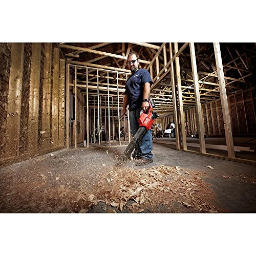 2025 Lithium-Ion Brushless Cordless Handheld Hair Dryer