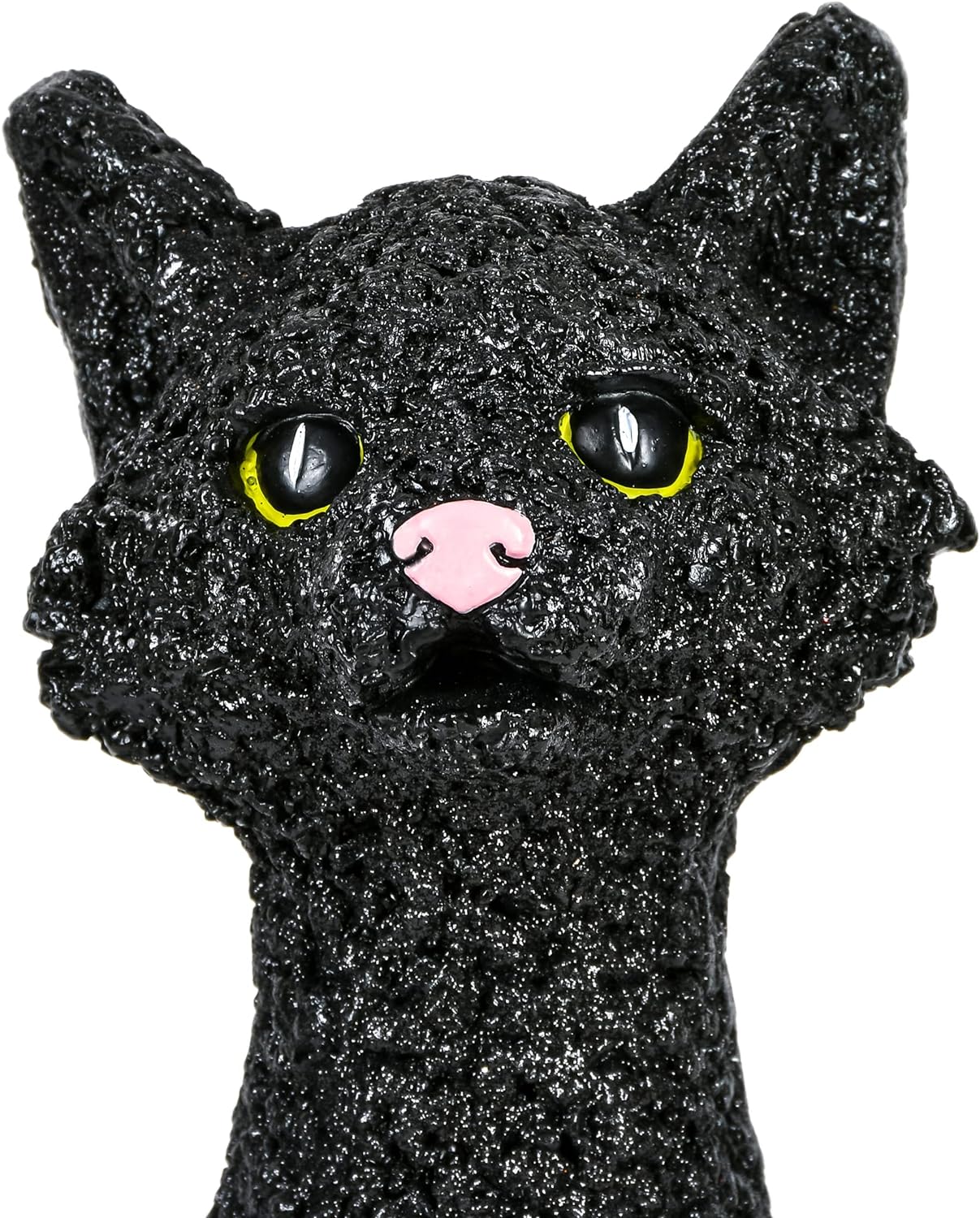 2025 Black cat and a bunch of pumpkins, Halloween collection