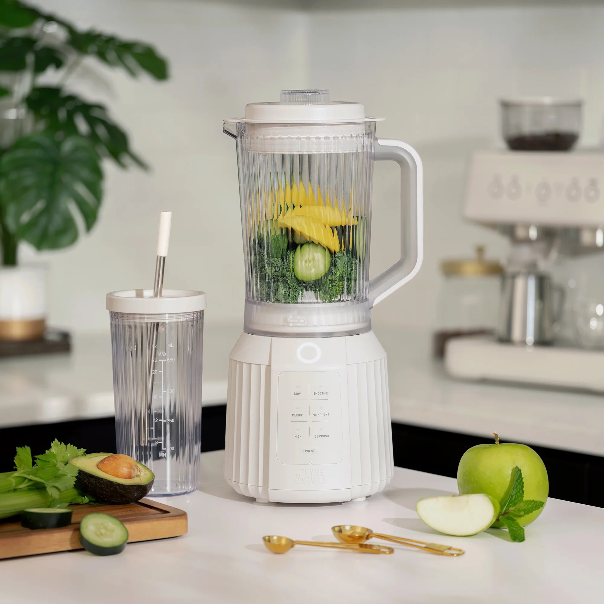 Thyme & Table Countertop Blender Duo, Sand White
