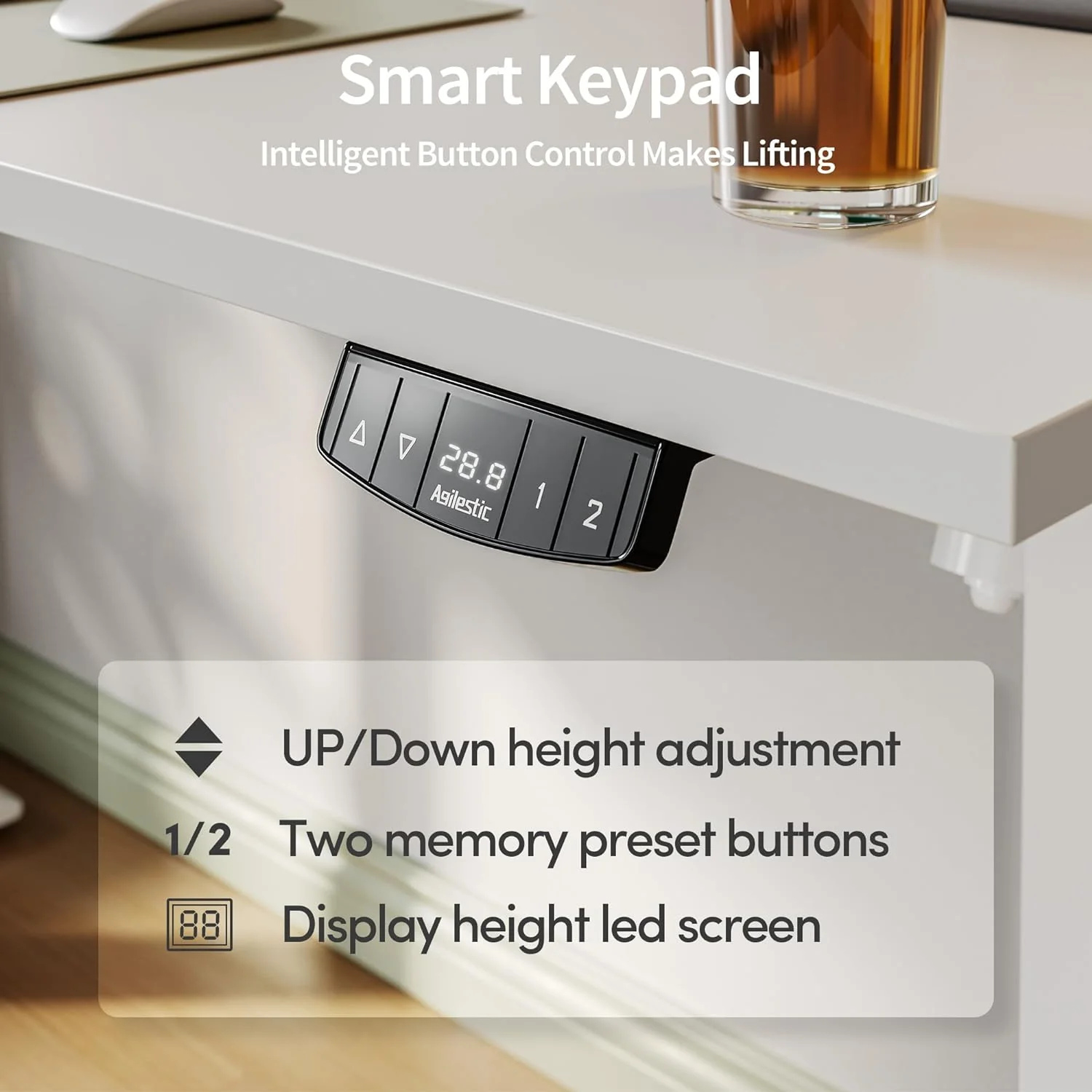 Electric Standing Desk 48 x 24 Inches Height Adjustable Desk