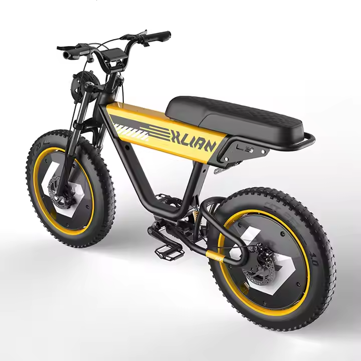 48V 750W electric bike 1000w 15AH hydraulic disc brake electric bike full suspension dirt mountain fat tire bicycle electric