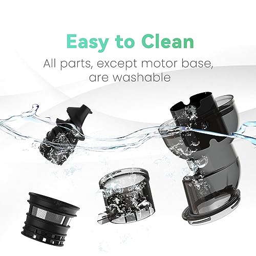 2025 Masticating Juicer, 300W Professional Slow Juicer with 3.5-inch Large Feed Chute