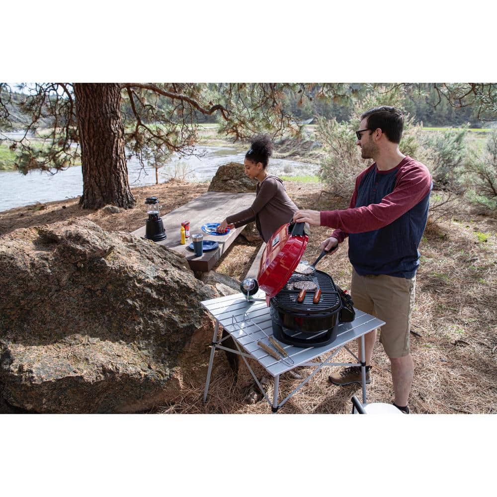 2000033047  225 Red TT Grill