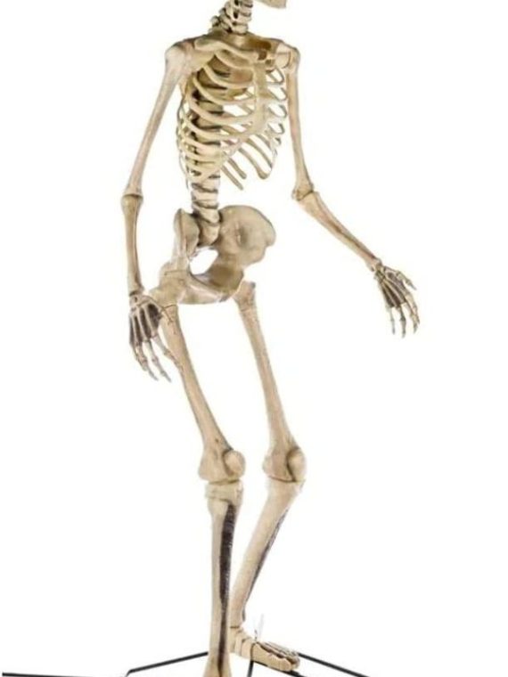 2025 Home Accents 12 ft. Giant-Sized Skeleton with LifeEyes NO250058