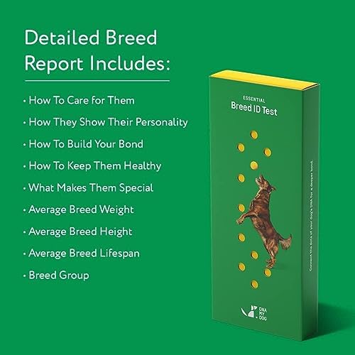 2025 Dna My Dog Essential Test – Breed ID Test Mixed Breed Identification Personality Traits for Puppies to Adult Dogs Non-Invasive Cheek Swab